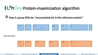 29
: Protein-maximization algorithm
LiftOn CDS chaining
L3 L5 L6 L7
M1 M2 M3 M5 M6
L2
M4
L1 L4
*
Step 3: group CDSs by “accumulated AA in the reference protein”
D
Assembly & Indexing
Introduction Genome Annotation Splice Site Prediction RNA-Seq Prediction
 