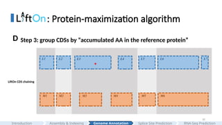 30
: Protein-maximization algorithm
LiftOn CDS chaining
L3 L5 L6 L7
M1 M2 M3 M5 M6
L2
M4
L1 L4
*
Step 3: group CDSs by “accumulated AA in the reference protein”
D
Assembly & Indexing
Introduction Genome Annotation Splice Site Prediction RNA-Seq Prediction
 