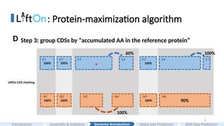 31
: Protein-maximization algorithm
LiftOn CDS chaining
100%
100% 100% 100% 90%
L3 L5 L6 L7
M1 M2 M3 M5 M6
100%
L2
M4
100%
L1 L4
*
Step 3: group CDSs by “accumulated AA in the reference protein”
D
100%
60% 100%
Assembly & Indexing
Introduction Genome Annotation Splice Site Prediction RNA-Seq Prediction
 