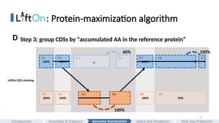 32
: Protein-maximization algorithm
LiftOn CDS chaining
100%
100% 100% 100% 90%
L3 L5 L6 L7
M1 M2 M3 M5 M6
100%
L2
M4
100%
L1 L4
100%
60%
*
100%
Step 3: group CDSs by “accumulated AA in the reference protein”
D
Assembly & Indexing
Introduction Genome Annotation Splice Site Prediction RNA-Seq Prediction
 