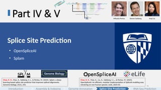 35
Part IV & V
Splice Site Prediction
• OpenSpliceAI
• Splam
Chao, K. H., Mao, A., Salzberg, S. L., & Pertea, M. (2024). Splam: a deep-
learning-based splice site predictor that improves spliced alignments.
Genome biology, 25(1), 243.
Chao, K. H., Mao, A., Liu, A., Salzberg, S. L., & Pertea, M. (2025).
OpenSpliceAI: An efficient, modular implementation of SpliceAI enabling easy
retraining on non-human species. eLife, 2025-03.
Mihaela Pertea Steven Salzberg Anqi Liu
Assembly & Indexing
Introduction Genome Annotation Splice Site Prediction RNA-Seq Prediction
 