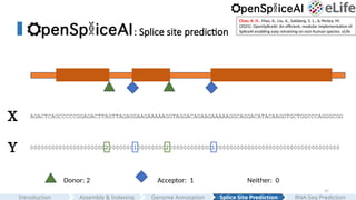 37
: Splice site prediction
AGACTCAGCCCCCGGAGACTTAGTTAGAGGAAGAAAAAGGTAGGACAGAAGAAAAAGGCAGGACATACAAGGTGCTGGCCCAGGGCGG
X
Y 000000000000000000000200000001000000002000000000000100000000000000000000000000000000000
Donor: 2 Acceptor: 1 Neither: 0
Assembly & Indexing
Introduction Genome Annotation Splice Site Prediction RNA-Seq Prediction
Chao, K. H., Mao, A., Liu, A., Salzberg, S. L., & Pertea, M.
(2025). OpenSpliceAI: An efficient, modular implementation of
SpliceAI enabling easy retraining on non-human species. eLife
 