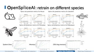 39
: retrain on different species
System time Memory GPU Avg memory
Assembly & Indexing
Introduction Genome Annotation Splice Site Prediction RNA-Seq Prediction
 
