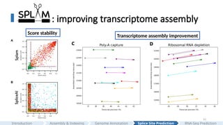 43
: improving transcriptome assembly
C D
Score stability
Transcriptome assembly improvement
Assembly & Indexing
Introduction Genome Annotation Splice Site Prediction RNA-Seq Prediction
 