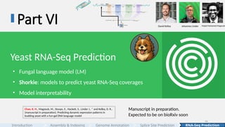 44
Part VI
Yeast RNA-Seq Prediction
• Fungal language model (LM)
• Shorkie: models to predict yeast RNA-Seq coverages
• Model interpretability
Chao, K. H., Magzoub, M., Stoops, E., Hackett, S., Linder J., * and Kelley, D. R.,
(manuscript in preparation). Predicting dynamic expression patterns in
budding yeast with a fun-gal DNA language model
Manuscript in preparation.
Expected to be on bioRxiv soon
David Kelley Johannes Linder Majed Mohamed Magzoub
Assembly & Indexing
Introduction Genome Annotation Splice Site Prediction RNA-Seq Prediction
 