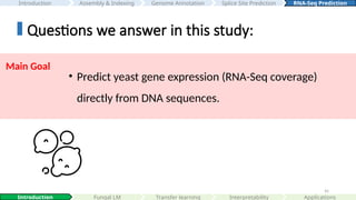 45
Questions we answer in this study:
Main Goal
• Predict yeast gene expression (RNA-Seq coverage)
directly from DNA sequences.
Interpretability
Introduction Fungal LM Transfer learning Applications
Assembly & Indexing
Introduction Genome Annotation Splice Site Prediction RNA-Seq Prediction
 