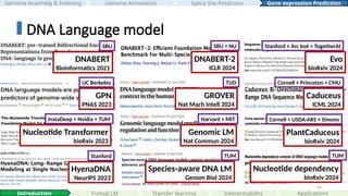 54
DNABERT
Bioinformatics 2021
SBU
GPN
PNAS 2023
UC Berkeley
Nucleotide Transformer
bioRxiv 2023
InstaDeep + Nvidia + TUM
HyenaDNA
NeurIPS 2023
Stanford
DNABERT-2
ICLR 2024
SBU + NU
GROVER
Nat Mach Intell 2024
TUD
Genomic LM
Nat Commun 2024
Harvard + MIT
Species-aware DNA LM
Genom Biol 2024
TUM
Evo
bioRxiv 2024
Stanford + Arc Inst + TogetherAI
Caduceus
ICML 2024
Cornell + Princeton + CMU
PlantCaduceus
bioRxiv 2024
Cornell + USDA-ARS + Simons
Nucleotide dependency
bioRxiv 2024
TUM
Interpretability
Introduction Fungal LM Applications
DNA Language model
Genome Assembly & Indexing Genome Annotation Gene expression Prediction
Splice Site Prediction
Transfer learning
 