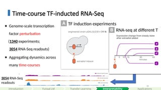 68
Time-course TF-inducted RNA-Seq
Interpretability
Introduction Applications
Fungal LM Transfer Learning
● Genome-scale transcription
factor perturbation
(1340 experiments;
3054 RNA-Seq readouts)
● Aggregating dynamics across
many time-courses
3054 RNA-Seq
readouts
TF induction experiments
RNA-seq at different T
 