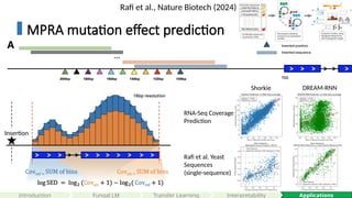 71
Introduction Applications
Fungal LM Interpretability
Rafi et al., Nature Biotech (2024)
RNA-Seq Coverage
Prediction
Rafi et al. Yeast
Sequences
(single-sequence)
Shorkie DREAM-RNN
MPRA mutation effect prediction
Insertion
Transfer Learning
 