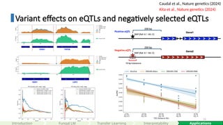 72
Variant effects on eQTLs and negatively selected eQTLs
Introduction Applications
Fungal LM Interpretability
Caudal et al., Nature genetics (2024)
Transfer Learning
Kita et al., Nature genetics (2024)
 