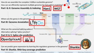 74
Assembly & Indexing
How do we assemble the complete 3-billion-nucleotide genome?
How can we efficiently represent multiple genomes for fast pattern matching?
Part I & II: Genome Assembly & Indexing
Where are the genes in the genome?
Part III: Genome Annotation
Can we predict gene expression by learning the regulatory grammar in the genome?
Part VI: Shorkie. RNA-Seq coverage prediction
What are the canonical splicing pattern?
Alternative splicing? Splice junction?
Part IV & V: Splice site prediction
Introduction Genome Annotation Splice Site Prediction RNA-Seq Prediction
Han1 WGT
Shorkie
 