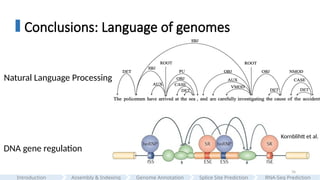 76
Conclusions: Language of genomes
Natural Language Processing
DNA gene regulation
Kornblihtt et al.
Assembly & Indexing
Introduction Genome Annotation Splice Site Prediction RNA-Seq Prediction
 