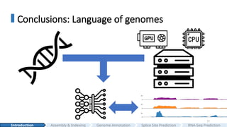 77
Conclusions: Language of genomes
Assembly & Indexing
Introduction Genome Annotation Splice Site Prediction RNA-Seq Prediction
 