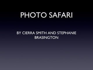 PHOTO SAFARI BY CIERRA SMITH AND STEPHANIE BRASINGTON 