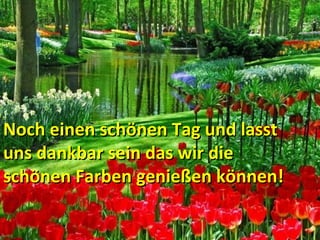 .
Noch einen schönen Tag und lasstNoch einen schönen Tag und lasst
uns dankbar sein das wir dieuns dankbar sein das wir die
schönen Farben genießen können!schönen Farben genießen können!
 