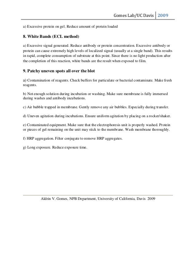 western blot troubleshooting smeared bands western blot troubleshooting smeared bands