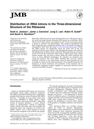Distribution of rRNA Introns in the Three-dimensional
Structure of the Ribosome
Scott A. Jackson1
, Jamie J. Cannone2
, Jung C. Lee3
, Robin R. Gutell2
*
and Sarah A. Woodson4
*
1
Department of Chemistry
and Biochemistry
University of Maryland
College Park, MD 20497-2021
USA
2
The Institute for Cellular
and Molecular Biology
and Section of Integrative
Biology, The University of
Texas at Austin, TX 78712
USA
3
Division of Medicinal
Chemistry, College of
Pharmacy, The University of
Texas at Austin, TX 78712
USA
4
T. C. Jenkins Department
of Biophysics, Johns Hopkins
University, 3400 N. Charles
Street, Baltimore
MD 21218-4118, USA
More than 1200 introns have been documented at over 150 unique sites in
the small and large subunit ribosomal RNA genes (as of February 2002).
Nearly all of these introns are assigned to one of four main types: group
I, group II, archaeal and spliceosomal. This sequence information has
been organized into a relational database that is accessible through the
Comparative RNA Web Site (http://www.rna.icmb.utexas.edu/) While
the rRNA introns are distributed across the entire tree of life, the
majority of introns occur within a few phylogenetic groups. We analyzed
the distributions of rRNA introns within the three-dimensional structures
of the 30 S and 50 S ribosomes. Most sites in rRNA genes that contain
introns contain only one type of intron. While the intron insertion sites
occur at many different coordinates, the majority are clustered near
conserved residues that form tRNA binding sites and the subunit
interface. Contrary to our expectations, many of these positions are not
accessible to solvent in the mature ribosome. The correlation between the
frequency of intron insertions and proximity of the insertion site to
functionally important residues suggests an association between intron
evolution and rRNA function.
q 2002 Elsevier Science Ltd. All rights reserved
Keywords: group I/II introns; ribosomal RNA; intron transposition; reverse
splicing; sequence database*Corresponding authors
Introduction
Introns in ribosomal RNA genes are found pre-
dominantly found within conserved sequences
near tRNA and mRNA binding sites, suggesting a
possible link between intron evolution and rRNA
function.1 – 3
Examples of every major intron class
have been identiﬁed in rRNA genes.4,5
These
include group I and group II introns,6,7
tRNA-like
introns in archaeal genomes,8
a newly deﬁned
family of “spliceosomal” introns in eukaryotic
nuclear rDNA with splice sites that resemble the
conserved splice site sequences of nuclear pre-
mRNA introns,9
and a small number of introns
that cannot be assigned to one of these four groups.
The sporadic appearance of group I and group II
introns among the rRNA genes of organisms from
all three phylogenetic kingdoms points to a
complex evolutionary past.10
Although examples
of introns that have descended through ancient
lineages are known,11 – 14
the appearance of similar
introns in different genes or unrelated organisms
suggests that they were inserted into host genomes
many times during their evolution.15 – 19
Conse-
quently, the distribution of known rRNA introns
is the product of multiple insertions and selective
losses.20
Since ribosomal RNAs are excellent chrono-
meters by which to measure phylogenetic
relationships,21
many laboratories are determining
rRNA sequences from organisms spanning the
entire tree of life. Consequently, GenBank contains
nearly 10,000 complete 16 S and 23 S (and 16 S-like
and 23 S-like) sequences.22
From this diverse
collection of rRNA sequences, approximately 1200
introns have been identiﬁed, sequenced, and
0022-2836/02/$ - see front matter q 2002 Elsevier Science Ltd. All rights reserved
E-mail addresses of the corresponding authors:
swoodson@jhu.edu; robin.gutell@mail.utexas.edu
Abbreviations used: ASA, accessible surface area;
CRW, Comparative RNA Web.
doi:10.1016/S0022-2836(02)00895-1 available online at http://www.idealibrary.com on
Bw
J. Mol. Biol. (2002) 323, 35–52
 