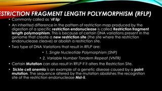 0840-28FB_Biochemistry Presentation full and final 2.pptx