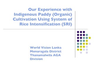 Our Experience with Indigenous Paddy (Organic) Cultivation Using System of Rice Intensification (SRI) World Vision Lanka  Monaragala District  Thanamalwila AGA Division 