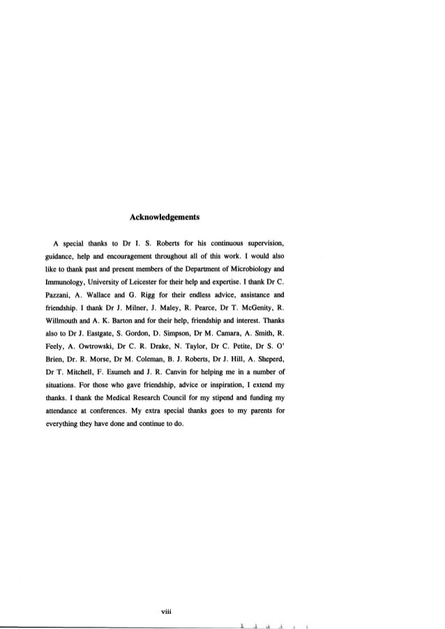 tips for writing essay ielts lines