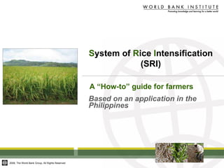 S ystem of  R ice  I ntensification (SRI) Based on an application in the Philippines A “How-to” guide for farmers 