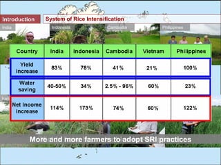 0844 System of Rice Intensification (SRI): A 'How to' Guide for Farmers ...