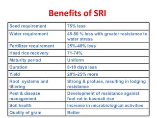 Benefits of SRI  Seed requirement 75% less Water requirement 45-50 % less with greater resistance to water stress Fertiliz...