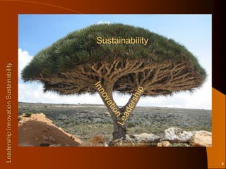 Sustainability
Leadership Innovation Sustainability




                                            http://upload.wikimedia.org/wikipedia/commons/8/83/Socotra_dragon_tree.JPG




                                                                                                                         4
 