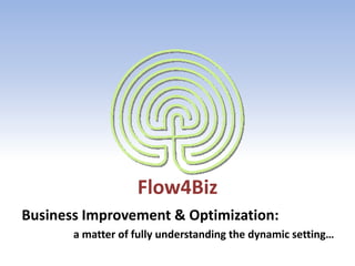 Flow4Biz
Business Improvement & Optimization:
a matter of fully understanding the dynamic setting…
 