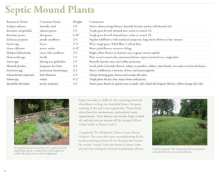 The Best Plants For 30 Tough Sites University Of Minnesota