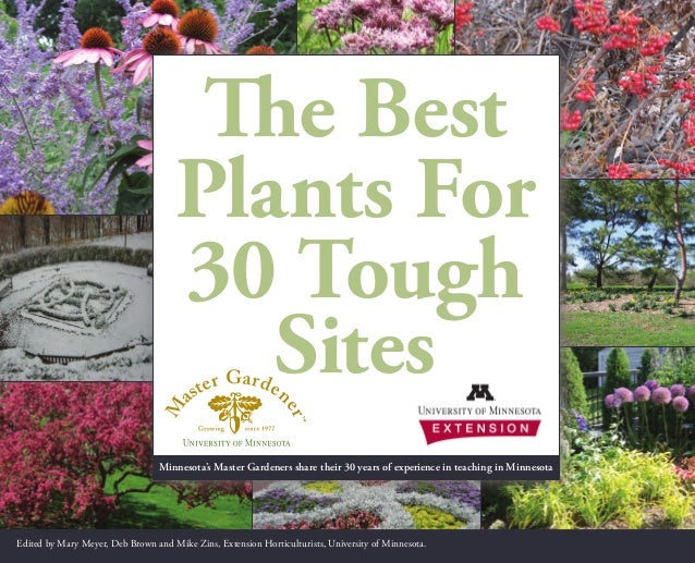 The Best Plants For 30 Tough Sites University Of Minnesota The Best Plants For 30 Tough Sites University Of Minnesota