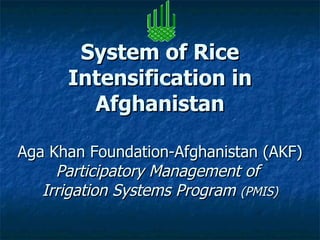 System of Rice Intensification in Afghanistan Aga Khan Foundation-Afghanistan (AKF) Participatory Management of  Irrigation Systems Program  (PMIS) 