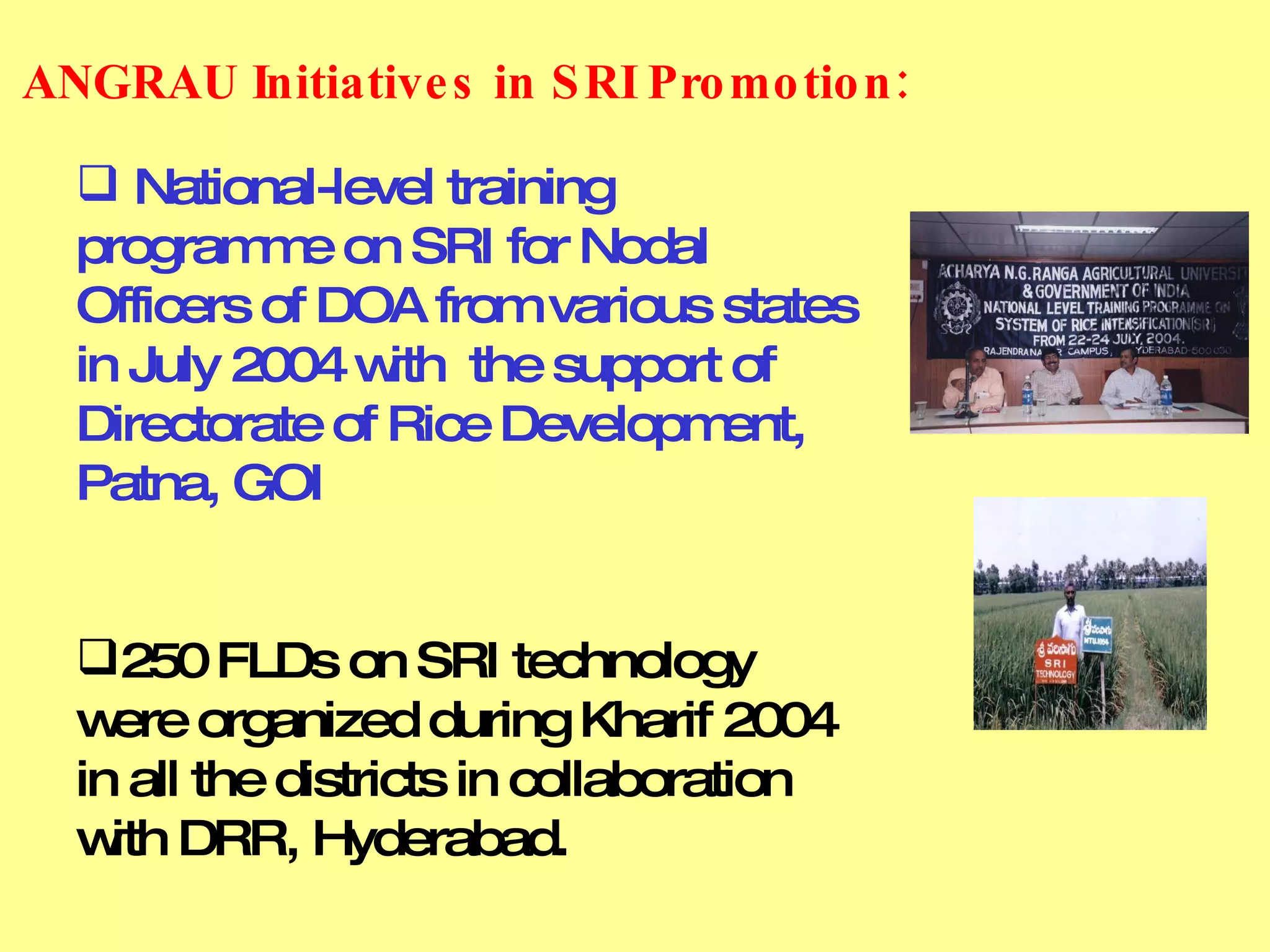 National-level training programme on SRI for Nodal Officers of DOA from various states in July 2004 with  the support of Directorate of Rice Development, Patna, GOI 250 FLDs on SRI technology were organized during Kharif 2004 in all the districts in collaboration with DRR, Hyderabad. ANGRAU Initiatives in SRI Promotion:   