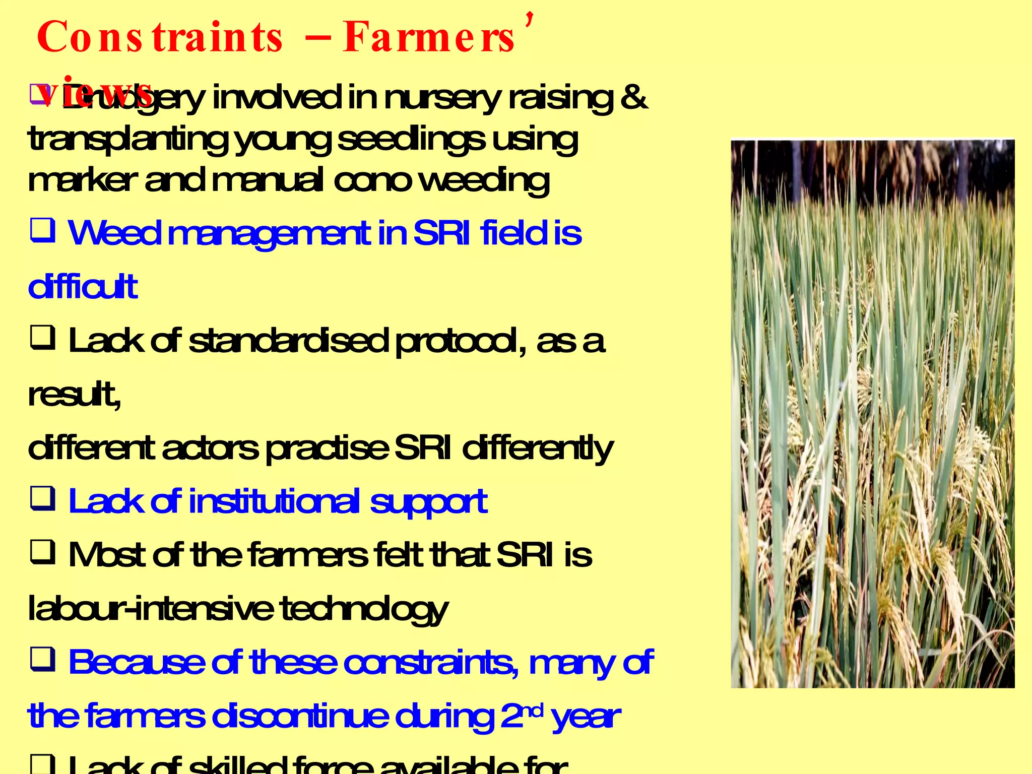 Drudgery involved in nursery raising & transplanting young seedlings using marker and manual cono weeding Weed management in SRI field is difficult Lack of standardised protocol, as a result, different actors practise SRI differently Lack of institutional support Most of the farmers felt that SRI is labour-intensive technology Because of these constraints, many of  the farmers discontinue during 2 nd  year Lack of skilled force available for transplanting and cono weeding Constraints – Farmers’ views 