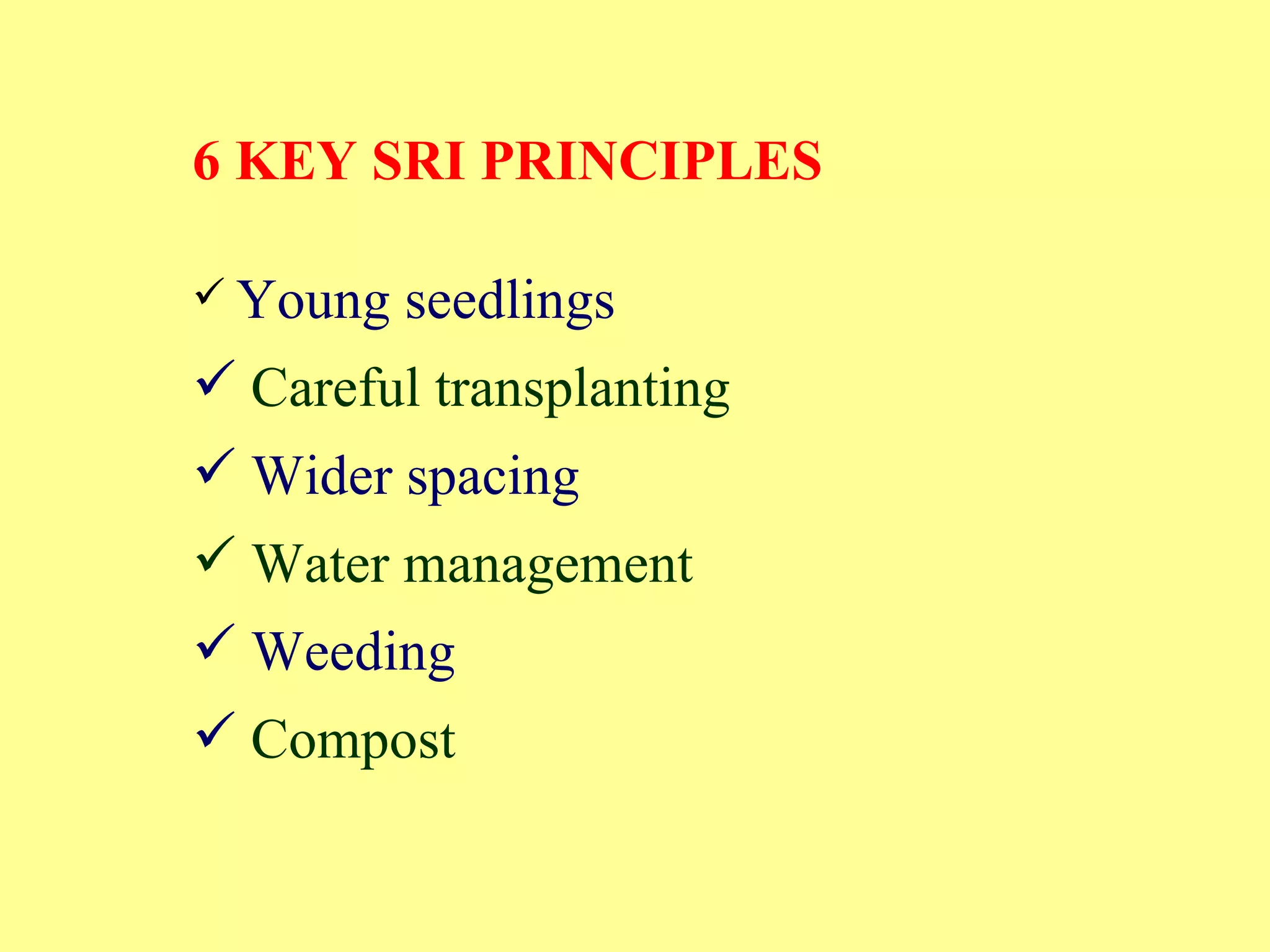 6 KEY SRI PRINCIPLES Young seedlings Careful transplanting Wider spacing Water management Weeding Compost 