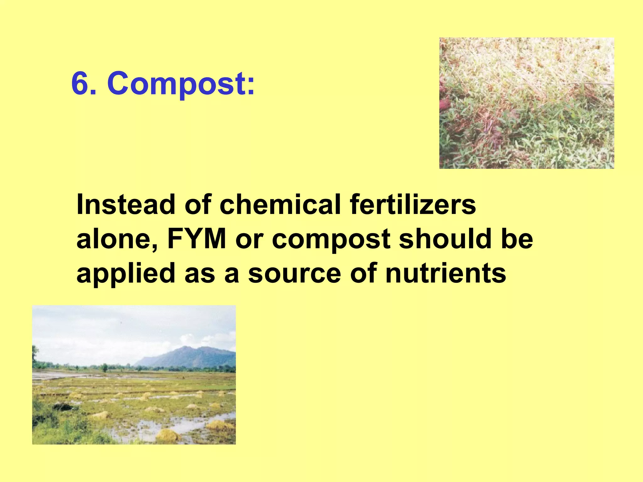 6. Compost: Instead of chemical fertilizers alone, FYM or compost should be applied as a source of nutrients 