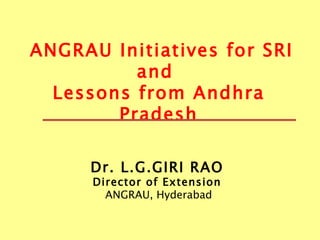 ANGRAU Initiatives for SRI and  Lessons from Andhra Pradesh Dr.   L.G.GIRI RAO   Director of Extension   ANGRAU, Hyderabad 
