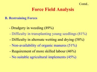Contd.. Force Field Analysis B. Restraining Forces -  Drudgery in weeding (89%) - Difficulty in transplanting young seedli...