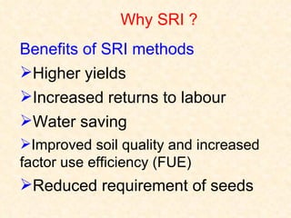 Sri Example 0849 SRI Implements and Machinery | PPT