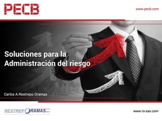 www.ro-sas.com
Soluciones para la
Administración del riesgo
TÉCNICAS Y HERRAMIENTAS
ISO 31010
 