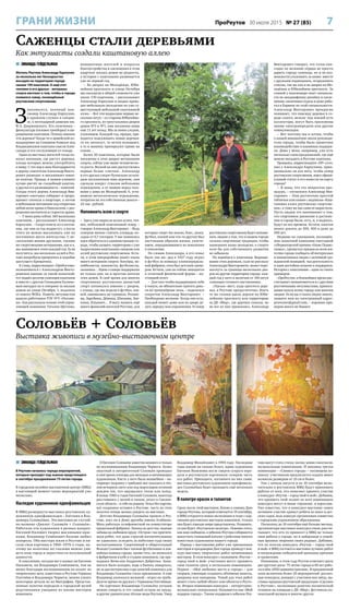 7ПроРеутов 30 июля 2015 № 27 (85)ГРАНИ ЖИЗНИ
 ЗИНАИДА ГЕЙДЕЛЬМАН
Житель Реутова Александр Карпухин
за несколько лет бескорыстно
высадил на территории города
свыше 100 каштанов. А ещё этот
человек и его друзья – ветераны
спорта мечтают о том, чтобы в городе
появился сквер, посвящённый
реутовским спортсменам.
З
накомьтесь, военный пен-
сионер Александр Карпухин,
в прошлом служил в спецна-
зе, в легендарной дивизии им.
Ф.Э. Дзержинского. Его увлечения –
физкультура (силовое троеборье) и вы-
ращивание каштанов. Почему именно
эти деревья? Когда-то в армейской ко-
мандировке на Северном Кавказе под
Владикавказом каштаны спасли Алек-
сандра и его сослуживцев от голода.
Один из местных жителей тогда по-
казал военным, где растут деревья,
плоды которых можно употреблять
в пищу. С тех пор в знак благодарности
к дереву-спасителю Александр Викто-
рович разводит и высаживает имен-
но каштан. Правда, в нашем климате
лучше растёт не съедобный каштан,
а другая его разновидность – конский.
Плоды этого дерева Александр Вик-
торович ежегодно собирает и прора-
щивает сначала в квартире, а потом
в небольшом питомнике под открытым
небом возле храма в Никольском, с раз-
решения настоятеля и старосты храма.
– У меня дома сейчас 160 маленьких
каштанов, – рассказывает Александр
Карпухин. – Скоро повезу их в питом-
ник, где они за год подрастут, а после
этого их можно высаживать уже на
постоянное место жительства. С не-
сколькими моими друзьями, такими
же спортсменами-ветеранами, как и я,
мы занимаемся этим каждый год. Если
получится, мы несколько аллей в Реу-
тове попробуем превратить в подобие
цветущего Крещатика.
К слову, корреспондент «ПроРеутова»
познакомился с Александром Викто-
ровичем именно за такой попыткой:
тот подвёз десяток саженцев каштанов
и вместе с другом Геннадием Калино-
вым высадил их в скверике за жилым
домом на улице Октября, 1, недалеко
от нового ФОКа. Помочь энтузиастам
вышли работники РЭУ №5 «Носови-
ха». Как рассказала техник этой управ-
ляющей компании Татьяна Щеглова,
инициативы жителей в вопросах
благоустройства и озеленения в этом
квартале жилых домов не редкость,
а история с каштанами развивается
уже не первый год.
– Во дворах на Молодёжке, Юби-
лейном проспекте и улице Октября
мы посадили в общей сложности уже
около 130 каштанов, – рассказывает
Александр Карпухин и заодно прово-
дит небольшую экскурсию по уже су-
ществующей небольшой каштановой
аллее. – Вот эти подросшие первые не-
сколько штук – со стороны Юбилейно-
го проспекта, из треугольника дворов
домов №3 и №1, они посажены нами
еще 11 лет назад. Мы за ними следим,
ухаживаем. Каждый год, правда, при-
ходится подсаживать новые деревья:
то их затопчут, то ветки поломают,
а то и машину припаркуют прямо на
газоне…
Более 20 каштанов, которые были
посажены в этих дворах ветеранами
спорта, сейчас уже выше человеческо-
го роста. Весной на них распустились
первые белые «свечки». Александр
и его друзья следят буквально за каж-
дым посаженным ими деревом, они
сделали вокруг стволов небольшие
ограждения, а от машин перед газо-
нами у дома на Молодёжной, 6, уста-
новили металлическое ограждение,
потратив на это собственные деньги –
22 тыс. рублей.
Напомнить всем о спорте
– Здесь уже выросла целая аллея, точ-
нее, небольшой каштановый сквер, –
говорит Александр Викторович. – Ведь
сквером можно считать площадь по-
садок от 0,7 гектаров. У нас появилась
идея обратиться в администрацию го-
рода, чтобы назвать территорию с уже
подросшими каштанами сквером или
аллей реутовских спортсменов. Кста-
ти, в этом микрорайоне живёт очень
много ветеранов спорта: боксёры, во-
лейболисты, хоккеисты, футболисты,
лыжники… Идею о сквере поддержали
не только они, но и простые жители
этих домов. В своё время для многих
спортивных реутовских династий
спорт начинался именно с дворов,
с улицы, где мы играли в футбол, хок-
кей, занимались на турниках. Розано-
вы, Зарубины, Дёмины, Швецовы, Зен-
кины, Ильинич… Я могу назвать ещё
много фамилий жителей Реутова, для
которых спорт (не важно, бокс, лыжи,
футбол, хоккей или что-то другое) был
настоящим образом жизни, увлече-
нием, передававшимся из поколения
в поколение.
По словам Александра, в его семье
было так же: дед в 1927 году играл
в футбол за команду хлопкопрядиль-
ной фабрики, отец был детским трене-
ром. Кстати, сам он сейчас находится
в отличной физической форме – на-
стоящий атлет.
– Для того чтобы поддерживать себя
в тонусе, не обязательно тратить день-
ги на тренажёрные залы, – поделился
секретом Александр Викторович. –
Необходимо желание. Когда оно есть,
каждый может дома или во дворе де-
лать зарядку или упражнения. И сквер
реутовских спортсменов будет напоми-
нать людям о том, что в нашем городе
сильны спортивные традиции, чтобы
нынешняя наша молодежь о спорте
хотя бы для собственного развития
не забывала.
Но вернёмся к каштанам. Выращи-
вание этих деревьев, судя по рассказу
Александра Викторовича, может пере-
шагнуть за границы нескольких дво-
ров на другие территории города: каж-
дый год у него в наличии от 100 штук
саженцев готового лиственника.
«Лысых» мест, куда просятся дере-
вья, в Реутове предостаточно. Взять
те же газоны вдоль дороги по Юби-
лейному проспекту или территорию
за ДК «Мир», где деревья сажали, но
не все из них прижились. Александр
Викторович говорит, что готов еже-
годно по велению сердца не просто
дарить городу саженцы, но и по воз-
можности ухаживать за ними: вместе
с друзьями подвязывать, огораживать
стволы, так же как и во дворах на Мо-
лодёжке и Юбилейном проспекте. За
спиной у пенсионера опыт специали-
ста по ландшафному дизайну и озеле-
нению: оканчивал курсы и даже рабо-
тал в Барвихе по этой специальности.
Александр Викторович прекрасно
понимает, что повсюду деревья в го-
роде сажать нельзя: под землей есть
коллекторы, могут быть проложены
линии электропередачи или другие
коммуникации.
– Вот поэтому мы и хотим, чтобы
о нашей инициативе знали руководи-
тели города, чтобы было грамотное
взаимодействие и взаимная поддерж-
ка. Дома у меня, например, уже есть
несколько схем-предложений, где ещё
можно посадить в Реутове каштаны.
Прощаясь, корреспондент «ПР» уточ-
нил у Александра Карпухина, прин-
ципиально ли для него, чтобы сквер
реутовских спортсменов, имел офици-
альный статус и его нанесли на карту
города?
– Я знаю, что это непростая про-
цедура, – согласился Александр Вик-
торович. – Нам достаточно простой
таблички или камня с надписью «Каш-
тановая аллея реутовских спортсме-
нов», к тому же мы сами её вырастили.
Пусть людям это напоминает о том,
что спортивное движение и достиже-
ния в городе были, есть, и, я надеюсь,
будут во все времена. Кстати, каштан
может дожить до 300, 400 и даже до
500 лет.
Недавно на совещании, посвящён-
ном заявочной кампании ежегодной
губернаторской премии «Наше Подмо-
сковье», прозвучал призыв ко всем жи-
телям города сообщать об интересных
и иницативных людях с активной гра-
жданской позицией, чья деятельность
и идеи достойны огласки и поддержки.
История с каштанами – один из таких
примеров.
«ПроРеутов» в ближайшее время рас-
считывает познакомиться и с другими
реутовчанами-энтузиастами, принося-
щими пользу всему городу или многим
людям. Если вы о таких людях знаете,
пишите нам на электронный адрес:
proreutov@gmail.com, – хороших при-
меров много не бывает.
 ЗИНАИДА ГЕЙДЕЛЬМАН
В Реутове началась череда мероприятий,
которые проходят под знаком предстоящего
в сентябре празднования 75-летия города.
В городском музейно-выставочном центре (МВЦ)
в настоящий момент таких мероприятий уже
несколько.
Наследие художников-однофамильцев
В МВЦ развернута выставка реутовских ху-
дожников-однофамильцев – Евгения и Вла-
димира Соловьёвых. Эта выставка не случай-
но названа «Диалог: Соловьёв + Соловьёв».
Работали эти художники в разных жанрах:
Евгений Нилович творил масляными крас-
ками, Владимир Семёнович больше любил
акварель. Оба мастера жили в Реутове и пи-
сали свои картины в 1960–1970-е годы, по-
этому на полотнах их глазами можно уви-
деть наш город и окрестности полувековой
давности.
К сожалению, сегодня нет в живых ни Евгения
Ниловича, ни Владимира Семёновича, тем не
менее благодаря воспоминаниям их коллег по
творческому цеху, известных в Реутове Германа
Плетнёва и Владимира Чернеги, можно узнать
некоторые детали из их биографии. Представ-
ленные полотна передали в городской музей
родственники ушедших из жизни мастеров
живописи.
О Евгении Соловьёве известно немного и только
по воспоминаниям Владимира Чернеги. Более
опытный и авторитетный Соловьёв проводил
в своё время пленэры для молодых и начинающих
художников. Кисть у него была волшебная – на-
тюрморт (корзину с грибами) мог показать в тёп-
лом вечернем свете или под моросящим осенним
дождем так, что ощущались тепло или холод.
В конце 1960-х годов Евгений Соловьёв, навсегда
расставшись с женой и сыном, уехал в Смолен-
скую область – к себе на родину. Уехал без картин,
всё созданное оставил в Реутове, часть из этих
полотен теперь можно увидеть на выставке.
Детство Владимира Соловьёва прошло в Реу-
тове, жил он в Доме дружбы имени Атабаева.
Мать работала телефонисткой на коммутаторе
прядильной фабрики. Эпизод из детства: водные
забавы на любимом пруду «Остров» так притяги-
вали ребят, что даже строгой воспитательнице
не удавалось уследить за побегами туда своих
воспитанников. Спортивный и общительный
Володя Соловьёв был членом футбольных и хок-
кейных команд города, кроме того, он записался
в фабричном клубе в студию живописи, где пре-
подавал Вячеслав Андреевич Добротин. Зани-
маться было холодно, вода в банках замерзала,
но за два интересных года занятий живопись для
Владимира Соловьёва стала призванием. А ещё
Владимир увлекался музыкой – играл на трубе.
Долгое время он дружил с Германом Плетнёвым.
На картинах Владимира Соловьёва сегодня
можно увидеть и тот самый остров на пруду,
и другие удивительно тёплые виды Реутова. Умер
Владимир Михайлович в 1994 году. Последние
годы жизни он сильно болел, вдова художника
Евгения Яковлевна после смерти супруга пере-
дала в реутовскую картинную галерею часть
его работ. Приходите, взгляните на них сами:
выставка реутовских художников-однофамиль-
цев Соловьёвых будет проходить ещё несколько
недель.
В палитре красок и талантов
Сразу после этой выставки, ближе к самому Дню
города Реутова, который отмечается 19 сентября,
в МВЦ откроется новая экспозиция и тоже с кар-
тинами реутовских мастеров живописи, только
она будет гораздо шире представлена. Называть-
ся она будет «Реутовская палитра». Помимо этого,
как нам сообщили, к юбилею Реутова собираются
выпустить глянцевый каталог с работами многих
известных художников нашего города.
Наряду с выставками работ уже признанных
мастеров в преддверии Дня города проведут кон-
курс-выставку творческих работ начинающих
мастеров. В этом конкурсе с названием «Реутов –
город твой и мой» участники могут проявить
свои таланты сразу в нескольких номинациях.
Первая – «Моё любимое место в городе» – для
творцов, умеющих создавать объёмные макеты,
диорамы или панорамы. Темой для этих работ
может стать любой объект или объекты в Реуто-
ве. Вторая номинация конкурса – литературно-
музыкально-театральная. Называется она «Мой
подарок городу». Таким подарком к юбилею Реу-
това могут стать стихи, песни, мини-спектакли,
музыкальные композиции. И наконец третья
номинация – «Символ города» – посвящена ко-
локолу: участникам предлагается создать макет
колокола размером от 10 см и более.
Уже с начала августа и по 10 сентября вклю-
чительно в реутовском МВЦ будут принимать
работы от всех, кто пожелает принять участие
в конкурсе «Реутов – город твой и мой». Добавим,
что проявить свой талант во всех номинациях
конкурса могут и юные горожане, и взрослые.
Уже известно, что в конкурсе-выставке самое
активное участие примут ребята из школ и дет-
ских садов, ведь конкурс организован совместно
с городским управлением образования.
Поскольку до 10 сентября ещё больше месяца,
организаторы выставки-конкурса очень рассчи-
тывают, что кто-то принесет в МВЦ не только
свои работы о городе, но и найденные в семей-
ных архивах творения своих родных. Добавим,
что по итогам конкурса «Реутов – город твой
и мой» в МВЦ состоится выставка лучших работ
и награждение победителей ценными призами
и грамотами.
Напомним, в этом году Реутов отмечает сразу
две круглые даты: 75-летие города и 60 лет рабо-
ты в нём «НПО машиностроения». В праздничный
план включены более 20 мероприятий: различ-
ные конкурсы, концерт с участием поп-звёзд, вы-
ставка-продажа реутовской продукции «Сделано
в Реутове», экспозиция ракетно-космической
техники на площади у ДК «Мир», фестиваль ко-
локольной музыки и многое другое.
Саженцы стали деревьями
Как энтузиасты создали каштановую аллею
Соловьёв + Соловьёв
Выставка живописи в музейно-выставочном центре
 