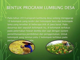 Panduan Gaul Dirikan Lumbung Desa untuk Komunitas Keren