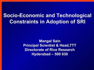 Socio-Economic and Technological Constraints in Adoption of SRI Mangal Sain Principal Scientist & Head,TTT Directorate of Rice Research Hyderabad – 500 030 