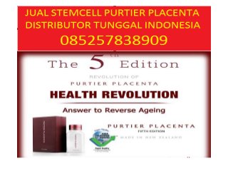 085257838909 jual stemcell purtier placenta asli murah