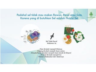 0852 5783 8909 konsep karnus solusi penyakit degeneratif | PPT