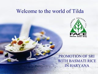 Welcome to the world of Tilda PROMOTION OF SRI  WITH BASMATI RICE IN HARYANA 