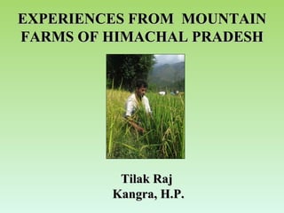 EXPERIENCES FROM  MOUNTAIN FARMS OF HIMACHAL PRADESH Tilak Raj Kangra, H.P. 