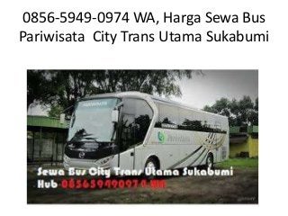 Menjelajahi Indonesia dengan Yes: Panduan Lengkap Alamat dan Layanan Bus Pariwisata