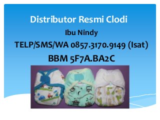 Distributor Resmi Clodi
Ibu Nindy
TELP/SMS/WA 0857.3170.9149 (Isat)
BBM 5F7A.BA2C
 