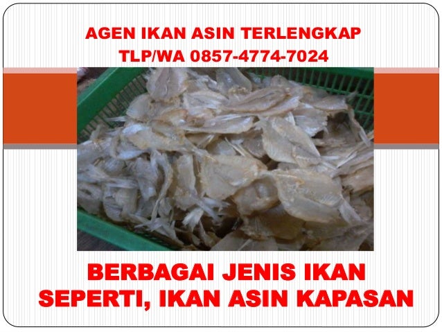 Harga Grosir Watlp 0857 4774 7024bpk Imam Jual Ikan